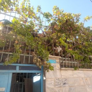 فروش ملک ویلایی اسلامشهر